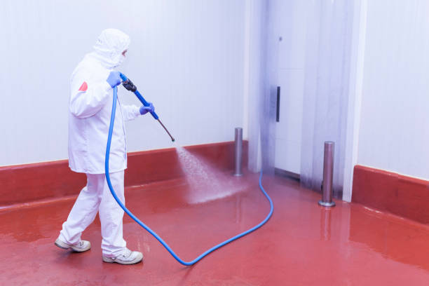 Best Sign and Awning Cleaning  in Goodrich, MI
