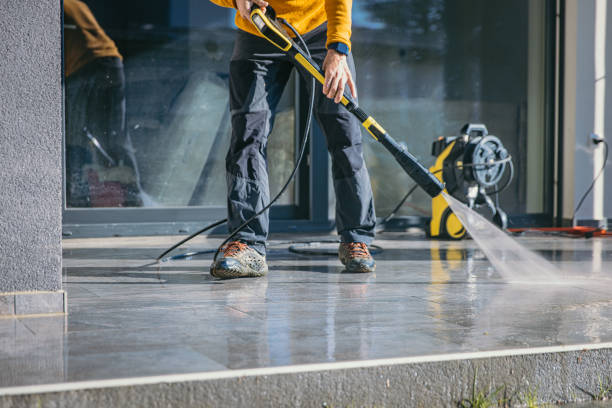 Best Rust Removal  in Goodrich, MI
